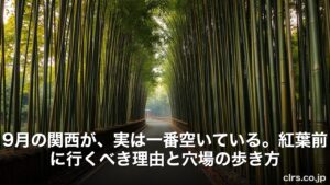 Path through a tunnel of tall green bamboo on a sunny day, forming a leafy canopy over a paved walkway.